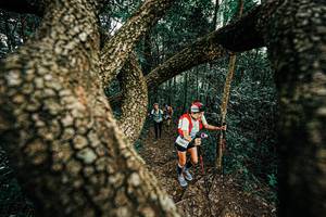 BIB: 
                            <button type="button" onclick="openModal(25393304)" class="btn btn-primary btn-sm float-right btn-popup" data-toggle="modal" data-target=".modal-high-quality">
                        <i class="fas fa-shopping-cart"></i> Add to Cart
                    </button>
                                            <button type="button" onclick="isThisMe(25393304, true)" class="btn btn-success btn-sm float-right btn-popup btn-isme hidden" data-toggle="tooltip" data-placement="bottom" title="นี่คือรูปของคุณใช่ไหม คลิกที่นี่เพื่อเอาเข้าอัลบั้ม">
                        <i class="fas fa-plus"></i> Add to album
                    </button>
                    <button type="button" onclick="isThisMe(25393304, false)" class="btn btn-warning btn-sm float-right btn-popup btn-isnotme hidden">
                        <i class="fas fa-ban"></i> Remove from album
                    </button>